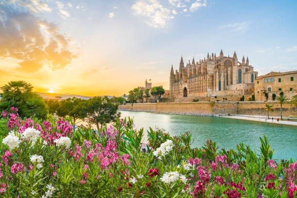 Book Cruises From Palma De Mallorca Spain Online And Save