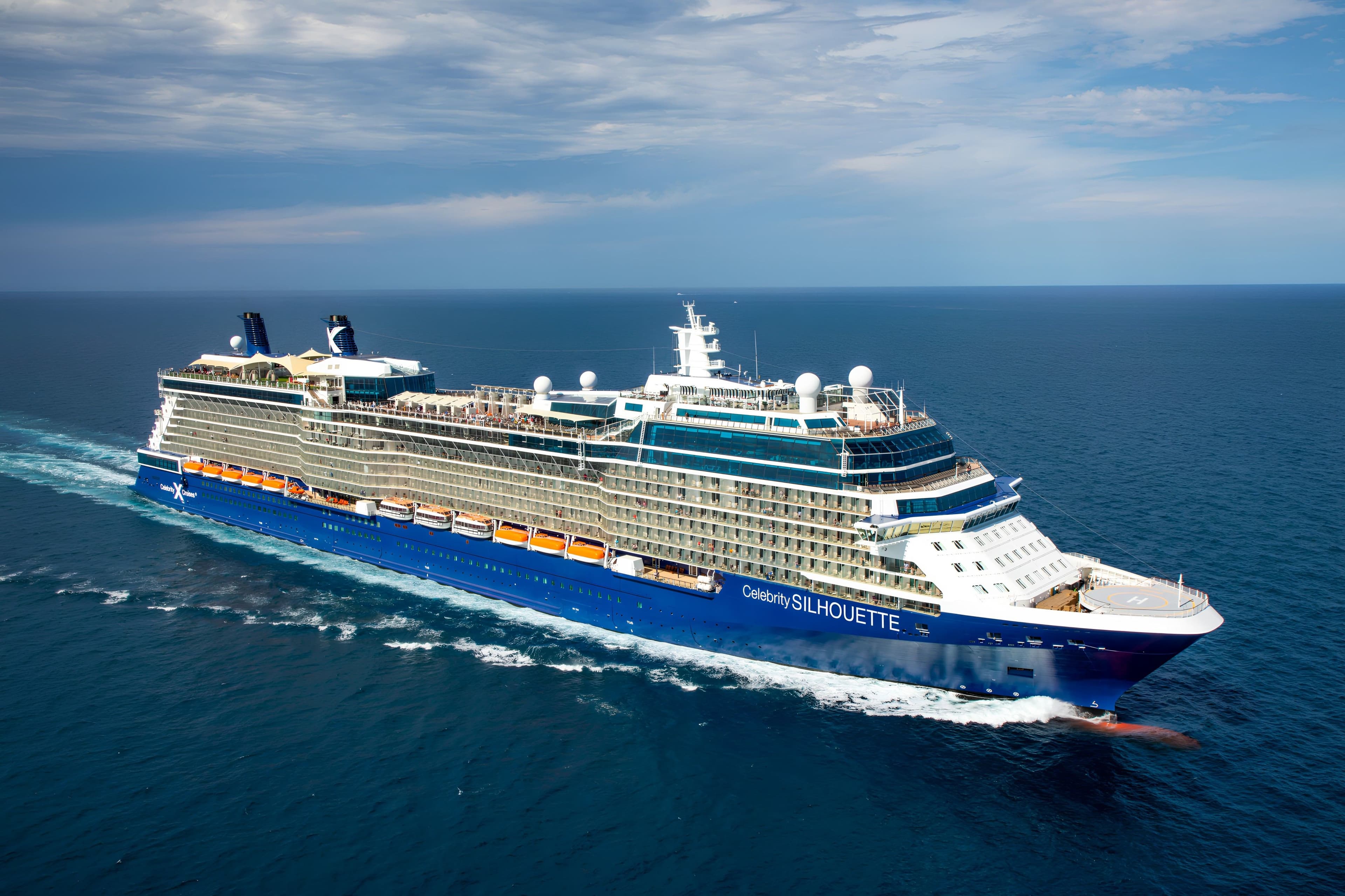 Celebrity Silhouette image