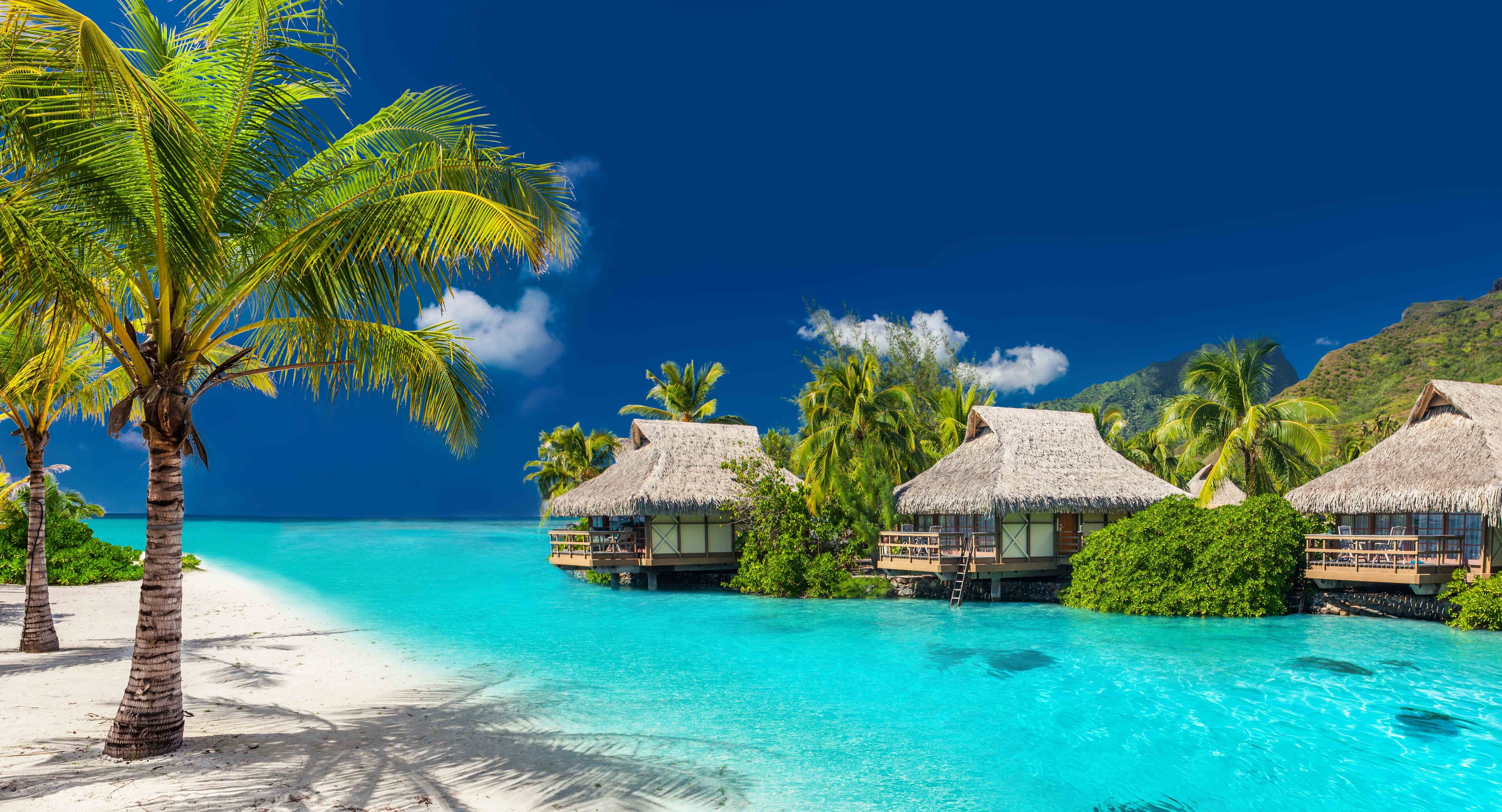 Book cruises to Fiji Online And Save