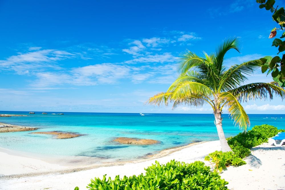 Book Bahamas Cruises Online And Save