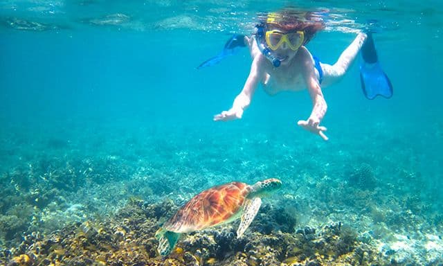 St. Kitts Catamaran Sail and Snorkel