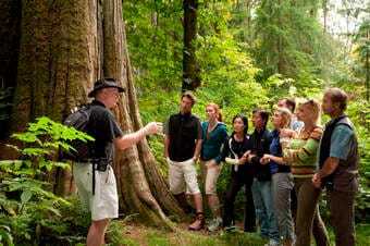 Capilano Canyon Walk & City Highlights With Hotel Transfer