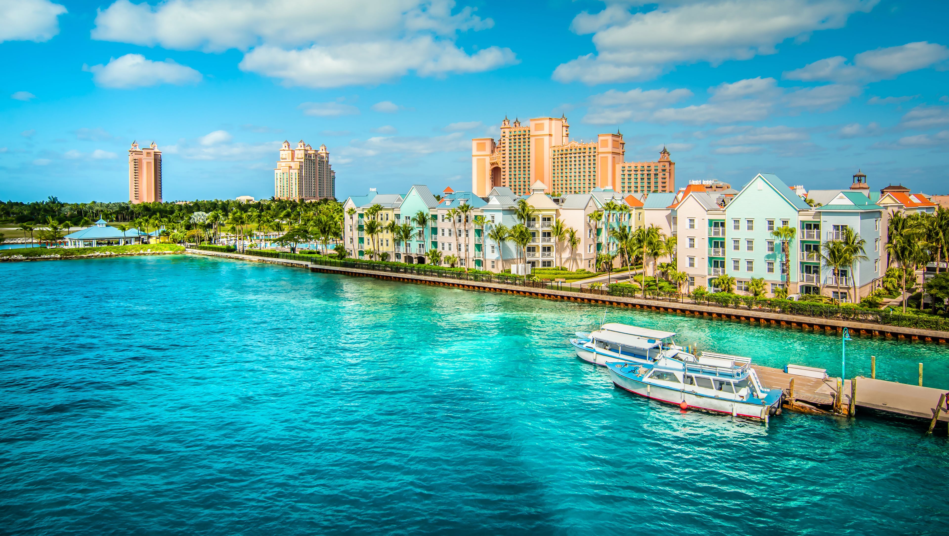 Book Cruises With MSC And Save
