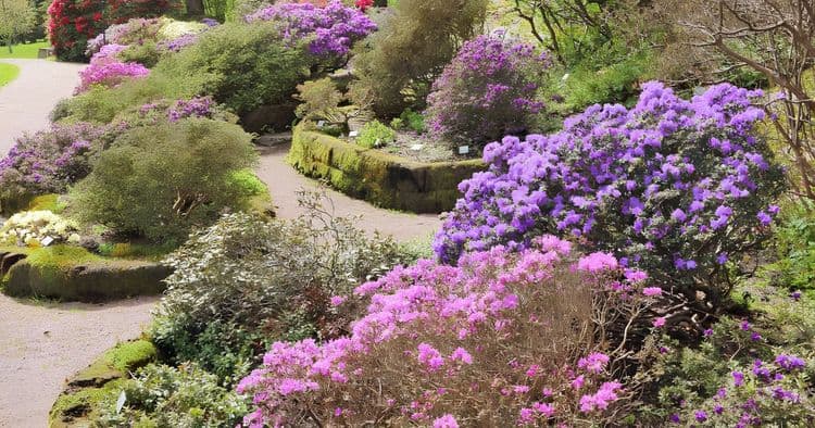 Gothenburg & Botanical Gardens