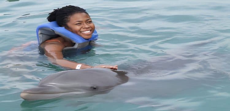 Dolphin Encounter with Stingray Sandbar
