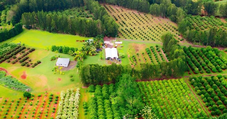 Hilo's Farm to Glass Exclusive – Small Groups