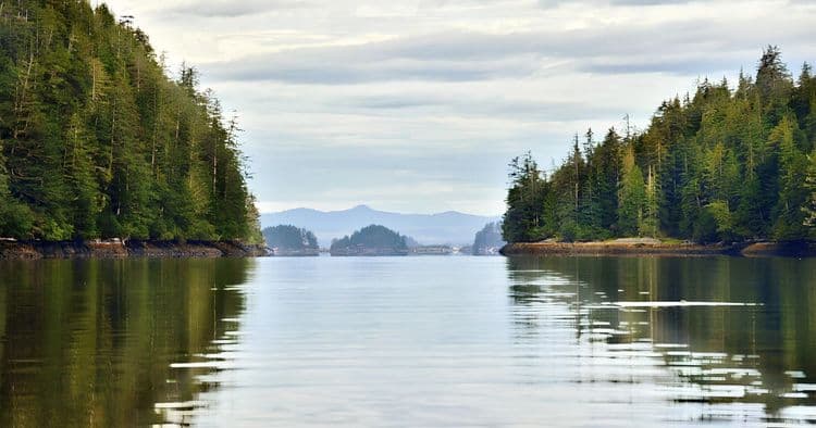 Wilderness Sea Kayaking Adventure