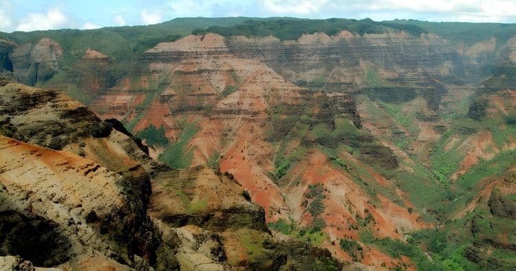 Waimea Canyon Tour