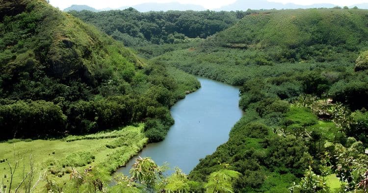 Waimea Canyon & Wailua River Tour