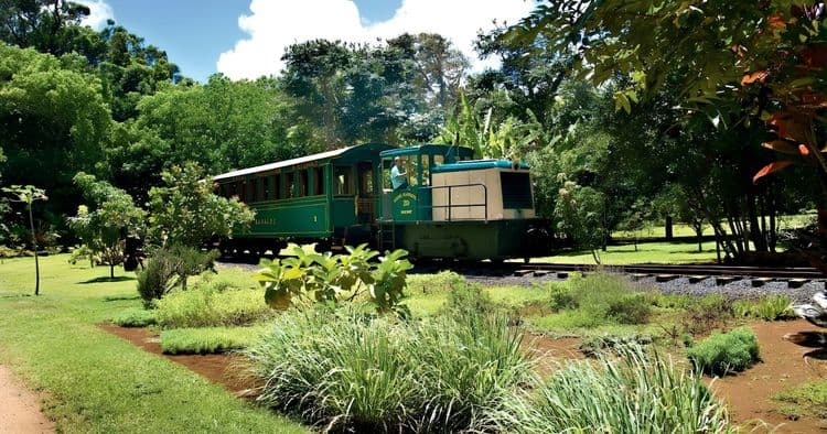 Kings, Waterfalls & Trains