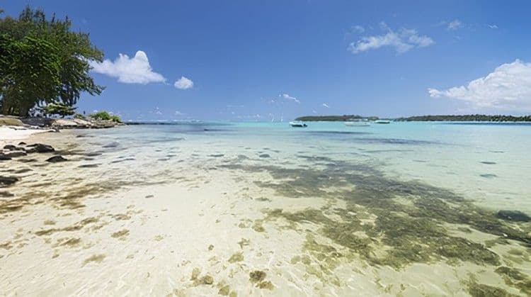 Fun & Relaxation At Flic-en-flac Beach