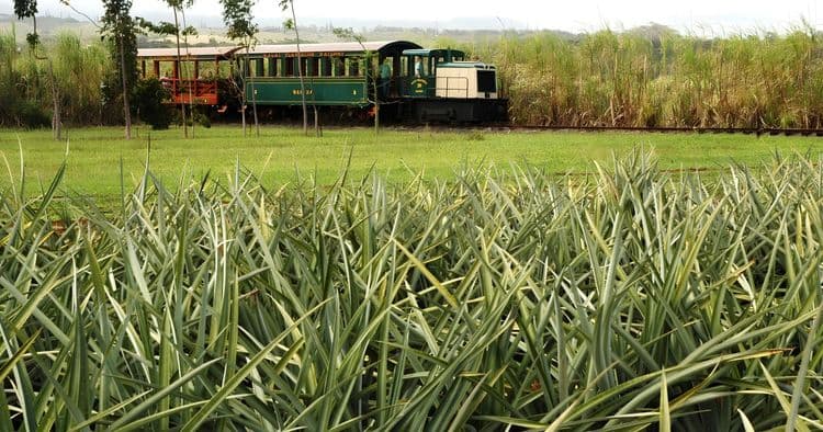Grove Farm & Kauai Plantation Railway