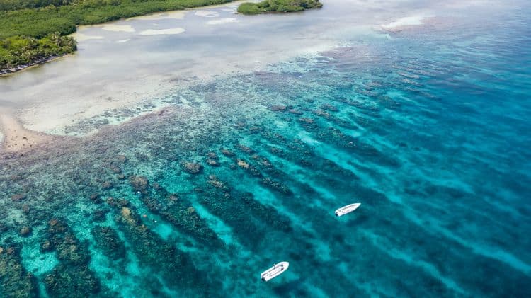 Turneffe Atoll Two Tank Dive