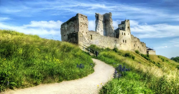 Medieval Experience