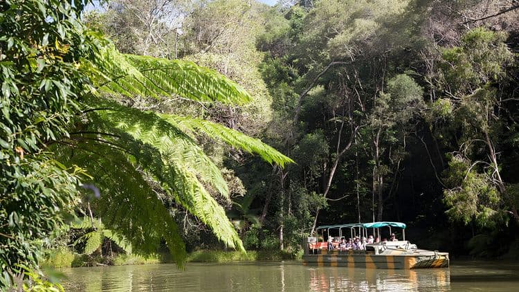 Kuranda, Aboriginal Experience and Army Ducks