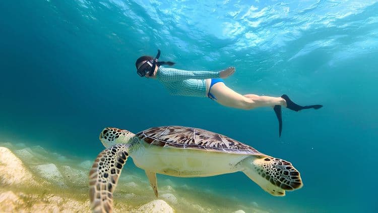 Turtle Bay Sail & Snorkel Adventure