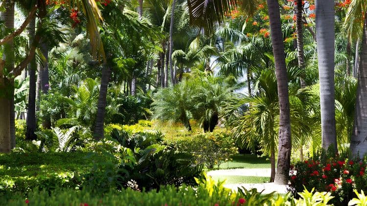 Amazing Mountain Views & Villa Botanica