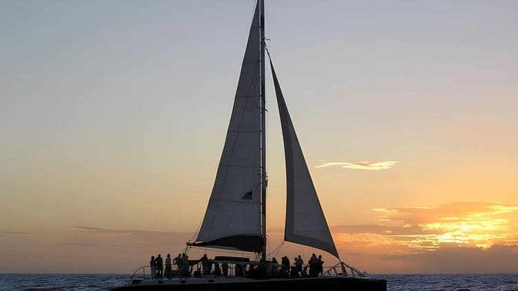 Champagne Sunset Harbor Cruise
