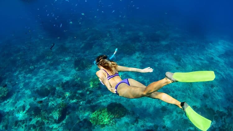 Island Adventure Eco-Tour