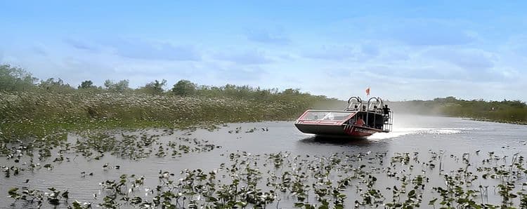Everglades Eco-Adventure with airport drop-off (FLL)