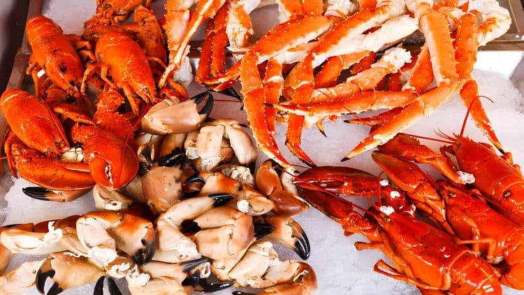 Bergen Seafood Experience