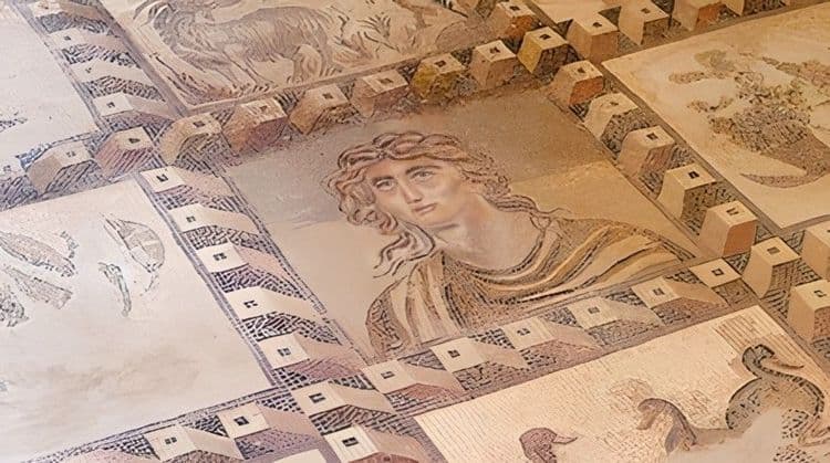 Archaeological Discovery Tour To Paphos