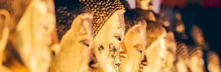 The Best Of Bangkok