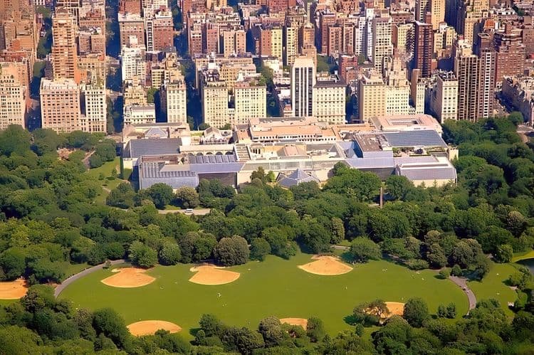 Central Park & the Met