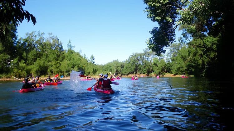 Discover Dumbea River by Kayak
