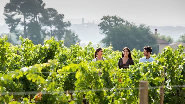 Captain's Club Exclusive: Journey to Torres Estate