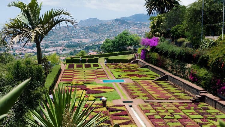 Funchal Highlights and Botanical Gardens