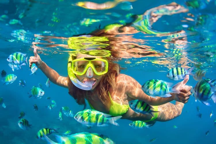 Snorkel Park Beach Club - Inclusive Beach Day