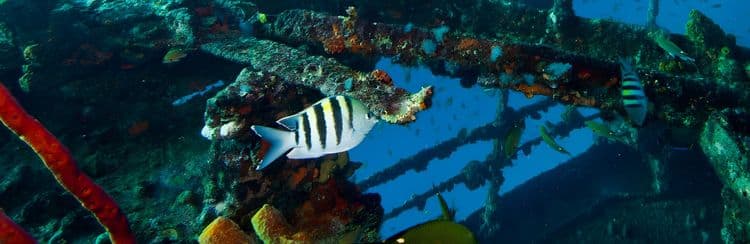 Aruba Certified Two Tank Scuba