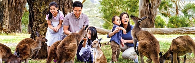 Cleland Wildlife Park