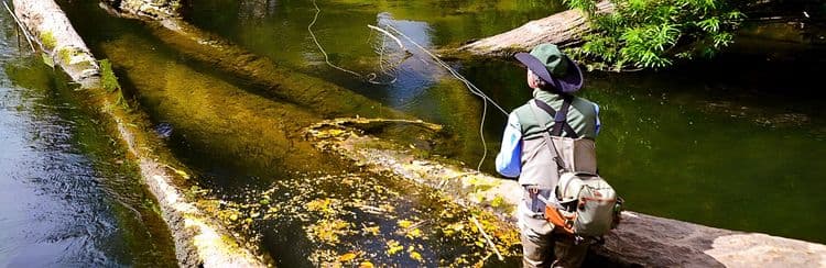 Fly Fishing Adventure In Patagonia