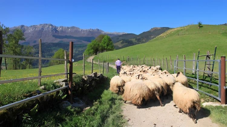 Basque Country