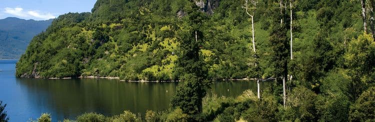 The Natural Beauty Of Patagonia