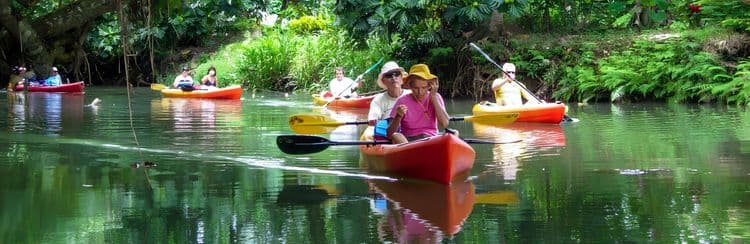 Kayak The Faaroa River