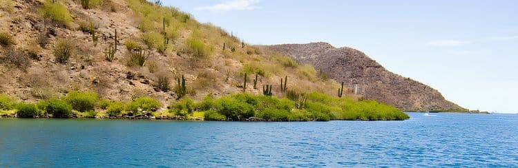 Kayak The Baja