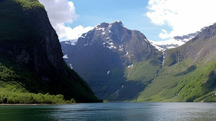 Fjordic Views by Boat & Coach