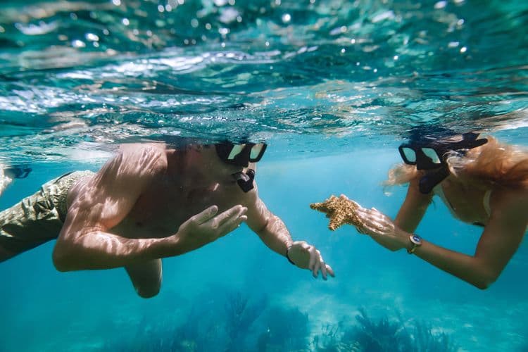 Snorkeling Wonders Of The Barrier Reef