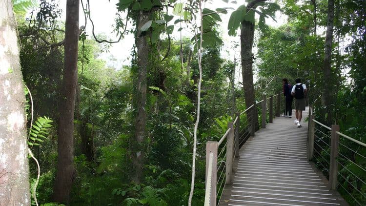 Skyrail, Kuranda & Cairns