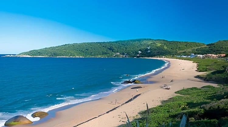 Discover Balneario Camboriu