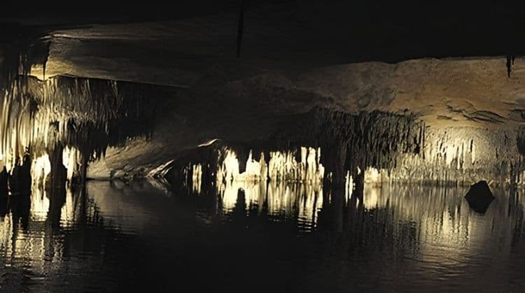 Dragon's Caves & Pearl Factory