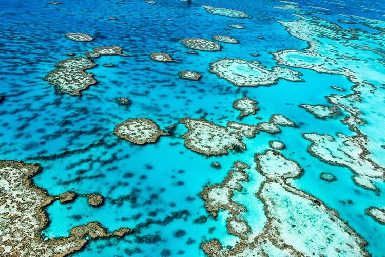 Great Barrier Reef Floating Platform by Catamaran