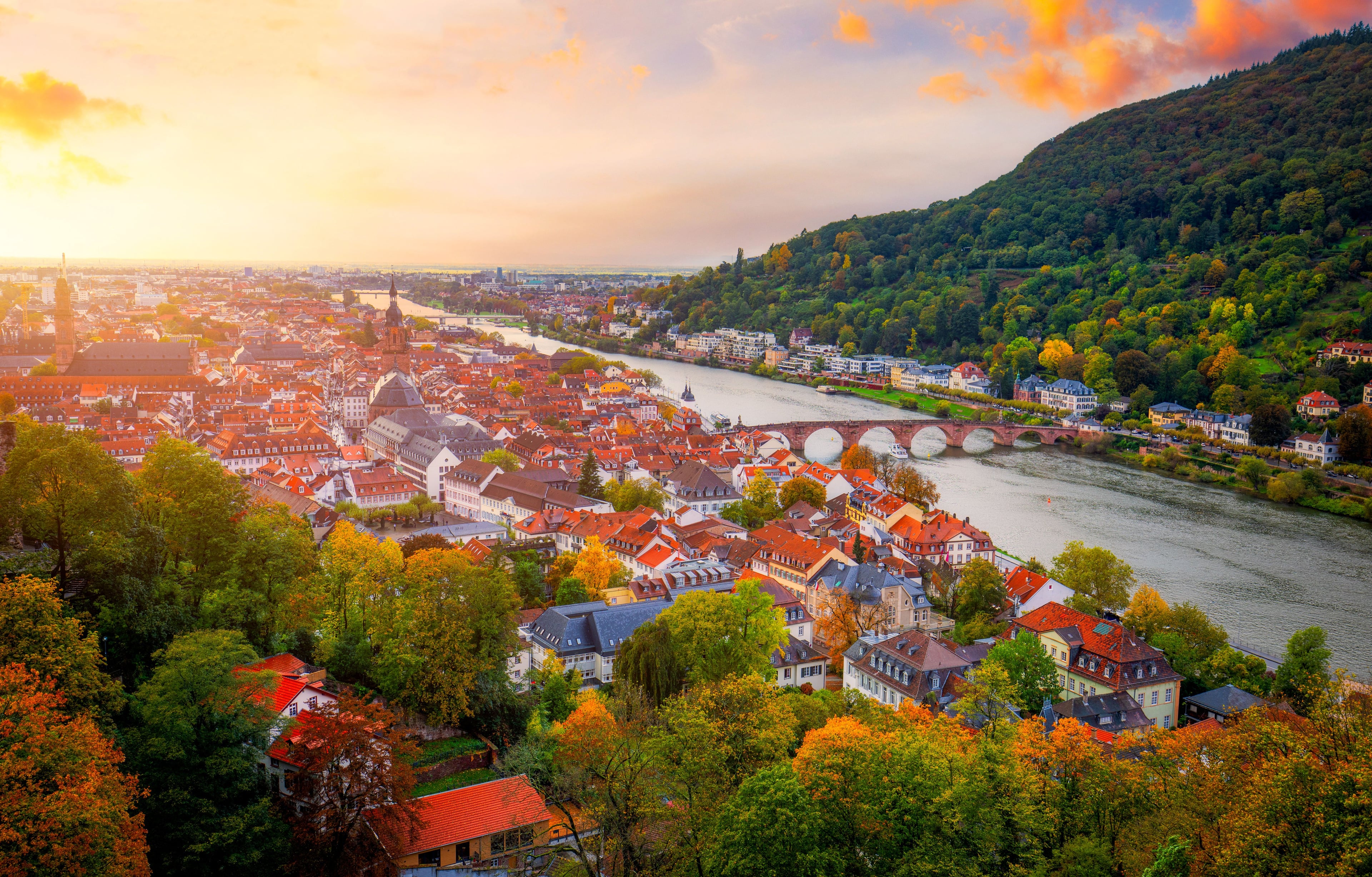 Book Your Dream River Cruise