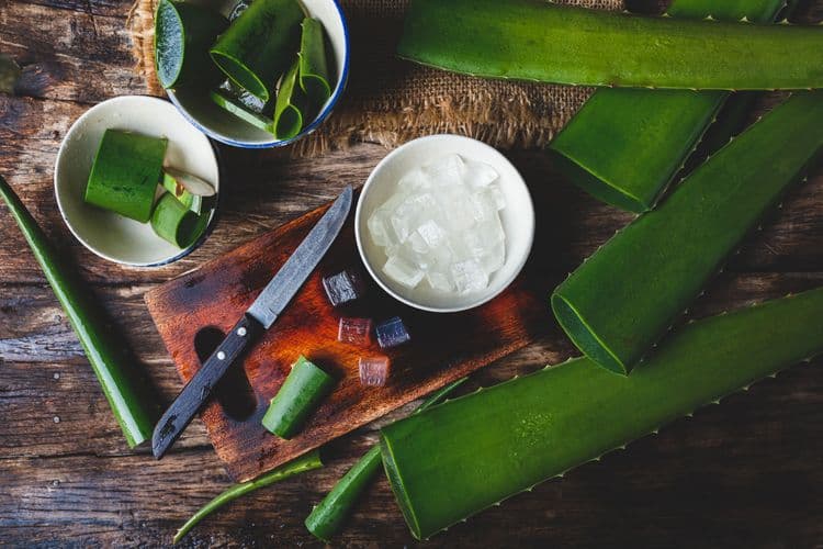 Made in Curaçao — Aloe & Artisans