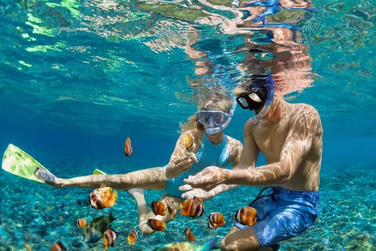 Kayak and Snorkel Adventure with Rum Punch