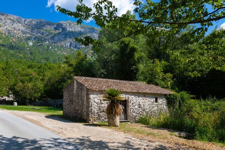 Winemakers of Konavle Valley