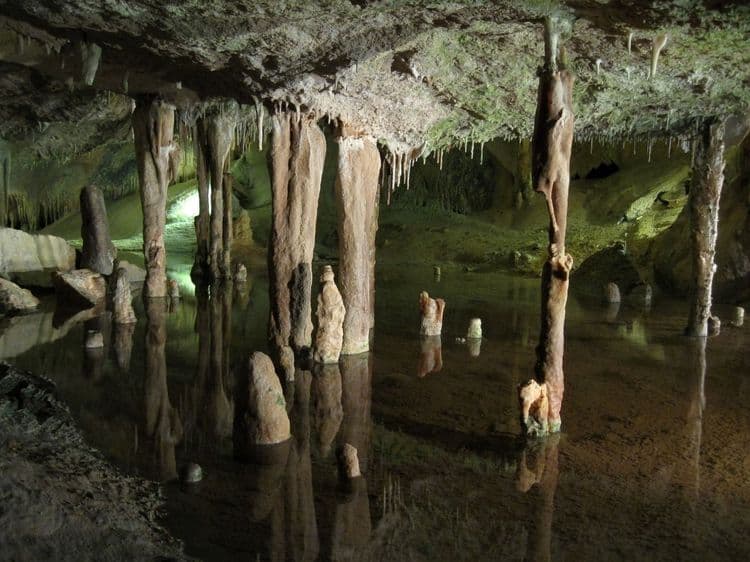 Can Marca Cave Tour & Ibiza Town
